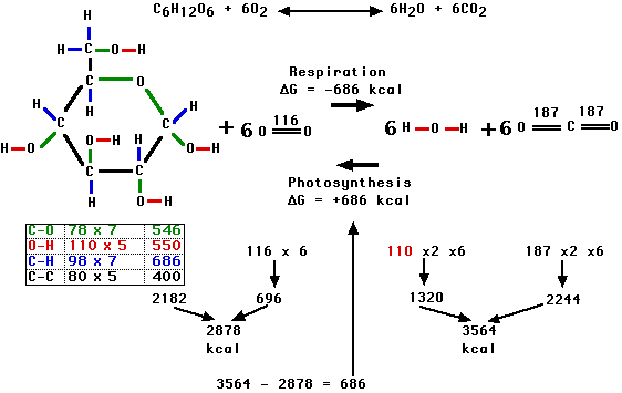 Glucose Chemical Natural Energy Decomposition.