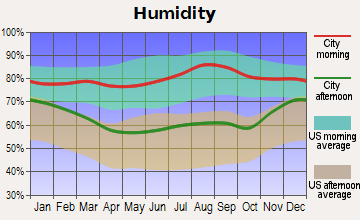 Humidity data for a location near Chicago, Thornton.